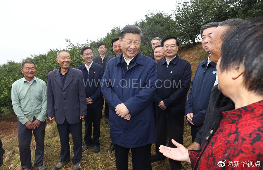 光山油茶籽榨油設備，山茶籽油榨油機廠家(圖2)