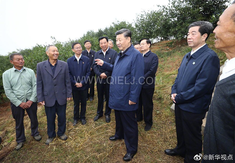 光山油茶籽榨油設備，山茶籽油榨油機廠家(圖3)
